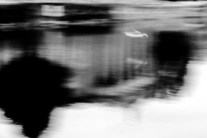 Il segreto della seduzione #26